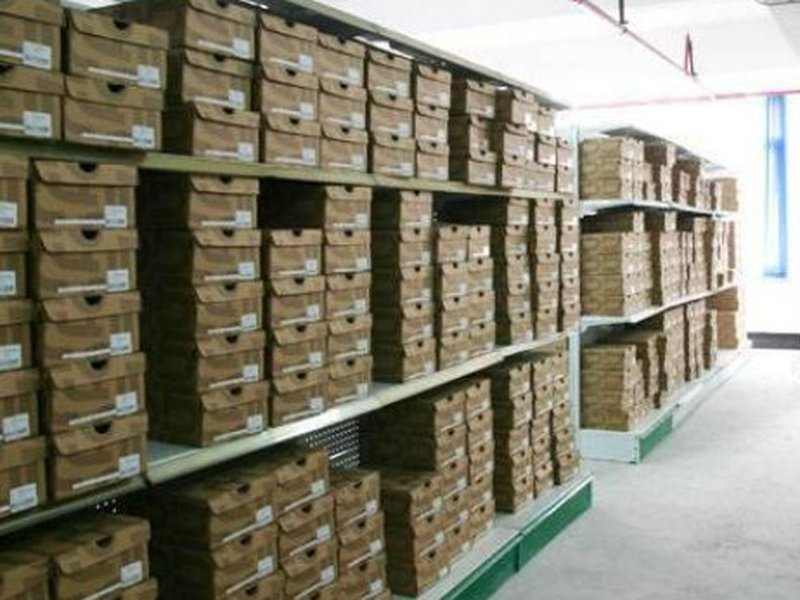 MuleBuy community rep haul 2026 — low-top sneaker color variety display table